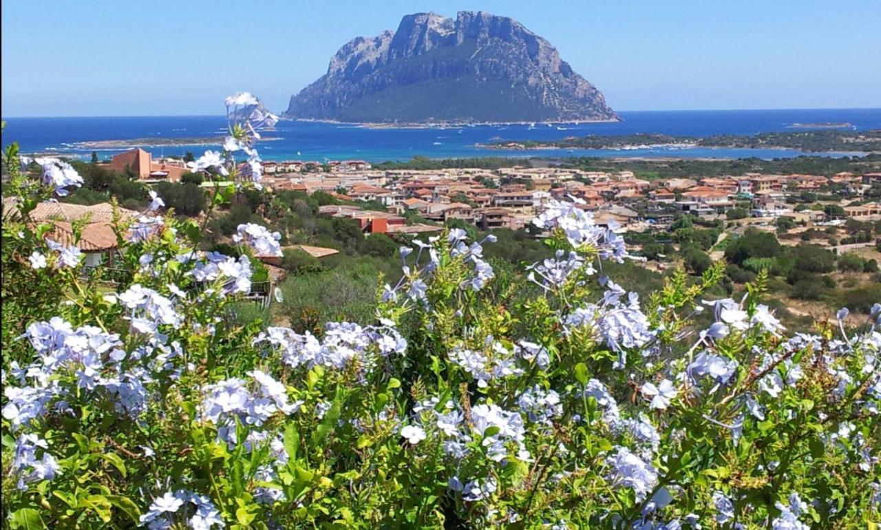 Le Case Del Mare Porto San Paolo  Exteriér fotografie