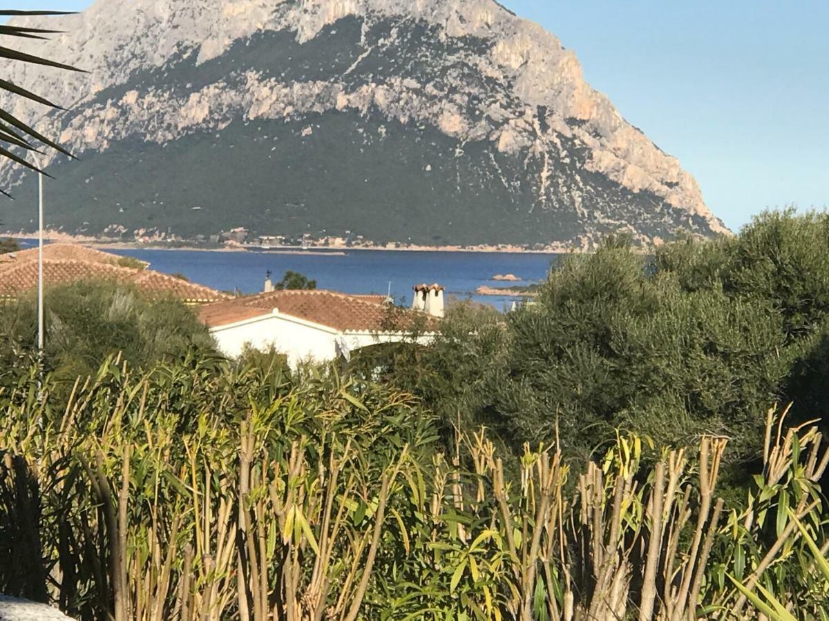 Le Case Del Mare Porto San Paolo  Exteriér fotografie