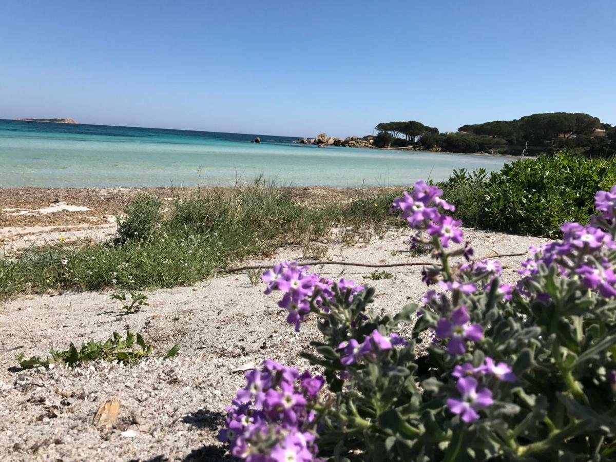 Le Case Del Mare Porto San Paolo  Exteriér fotografie